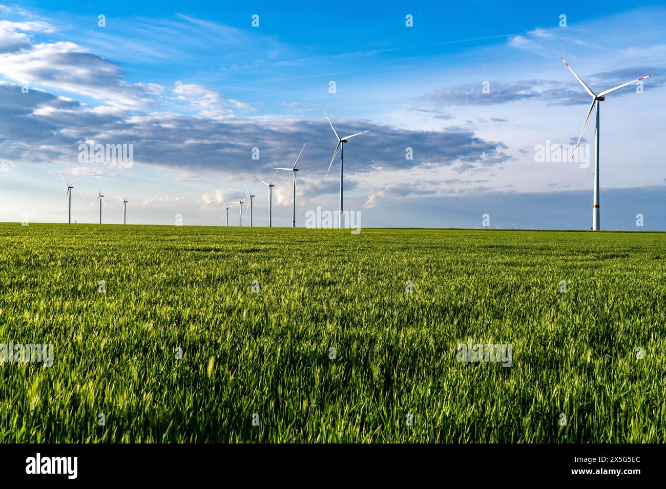 Parco eolico RWE vicino a Bedburg, presso la miniera a cielo aperto di Garzweiler, sulla parte recultivata della miniera di lignite a cielo aperto, turbina eolica Nordex N163, NRW, Germania Foto Stock