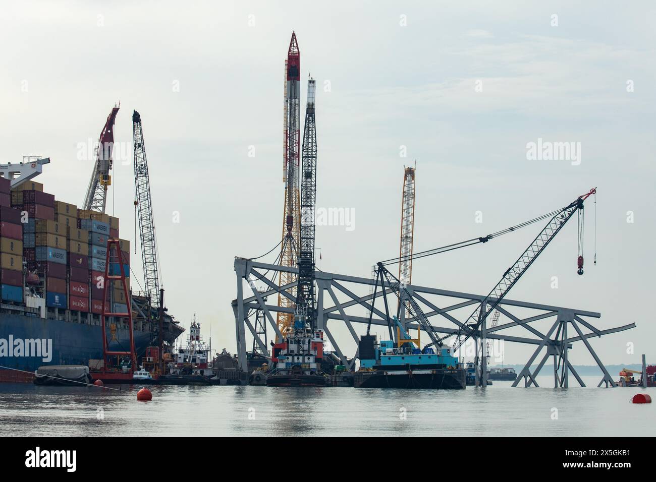 Dundalk, Stati Uniti d'America. 8 maggio 2024. Gli equipaggi di recupero utilizzano un artiglio idraulico per il recupero pesante per rimuovere il relitto del Francis Scott Key Bridge crollato sul fiume Patapsco, 8 maggio 2024, vicino a Dundalk, Maryland. Il ponte è stato colpito dalla nave container MV Dali da 984 piedi il 26 marzo e crollò uccidendo sei lavoratori. Crediti: Christopher Rosario/U. S Army Corps of Engineers/Alamy Live News Foto Stock