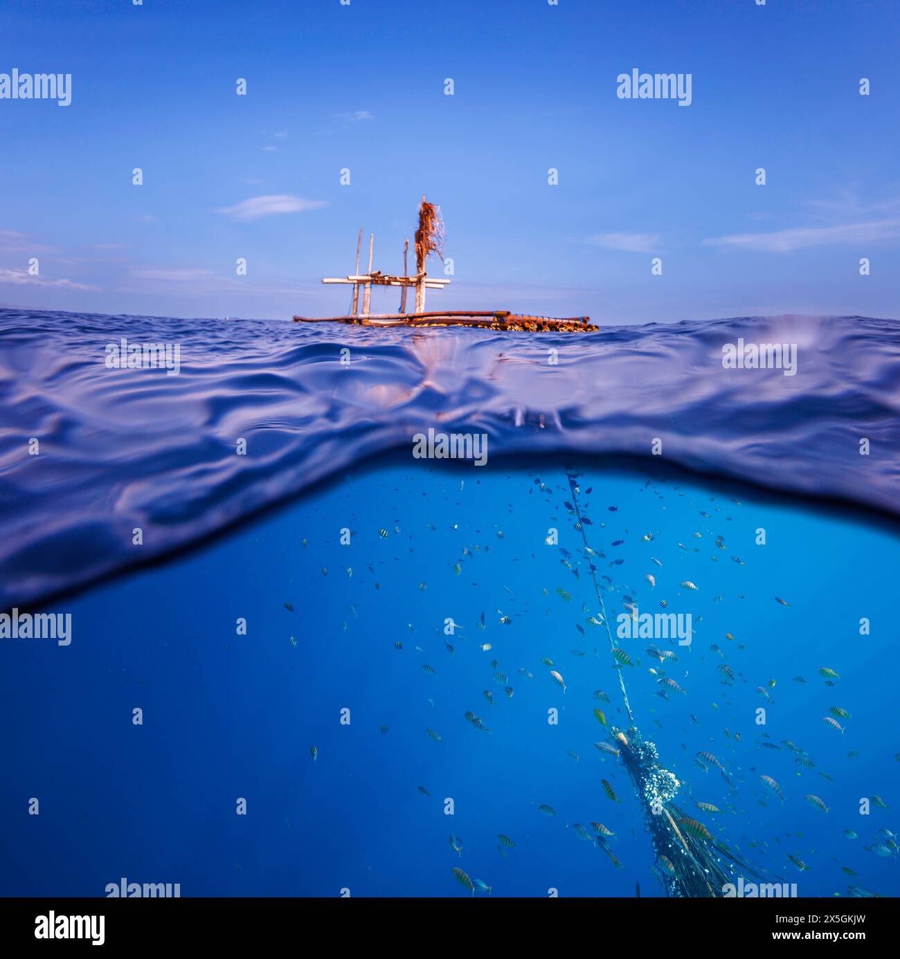 Un'immagine divisa di pesci che si rifugiano sotto una struttura galleggiante di bambù al largo della Repubblica Democratica di Timor Est. Questo FAD fa parte di un aggregazione di pesci Foto Stock