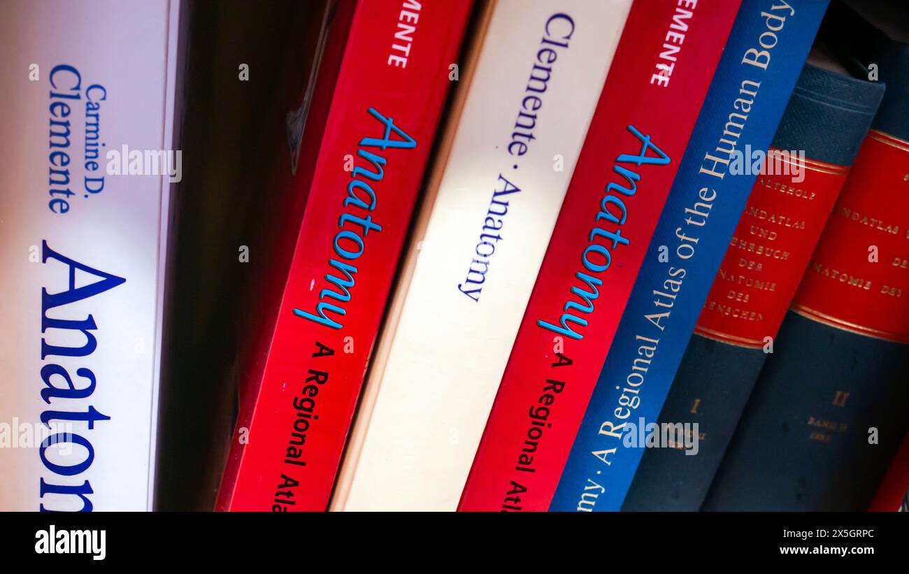 Una raccolta di libri di testo di anatomia su una libreria, in una biblioteca accademica per l'educazione medica in un'università o una scuola di medicina Foto Stock