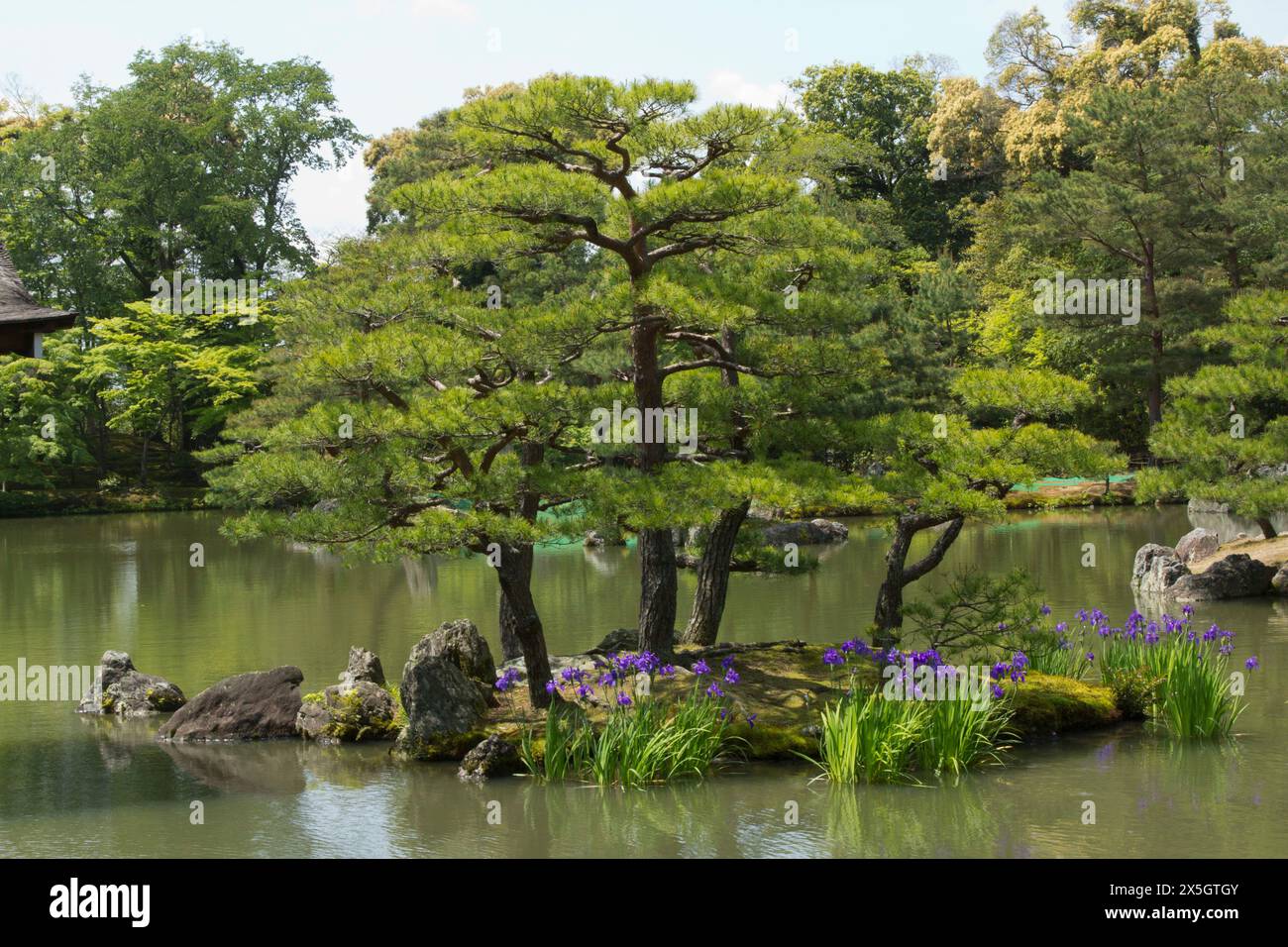Kinkaku-ji Tempio dorato, Kyoto, Giappone Foto Stock