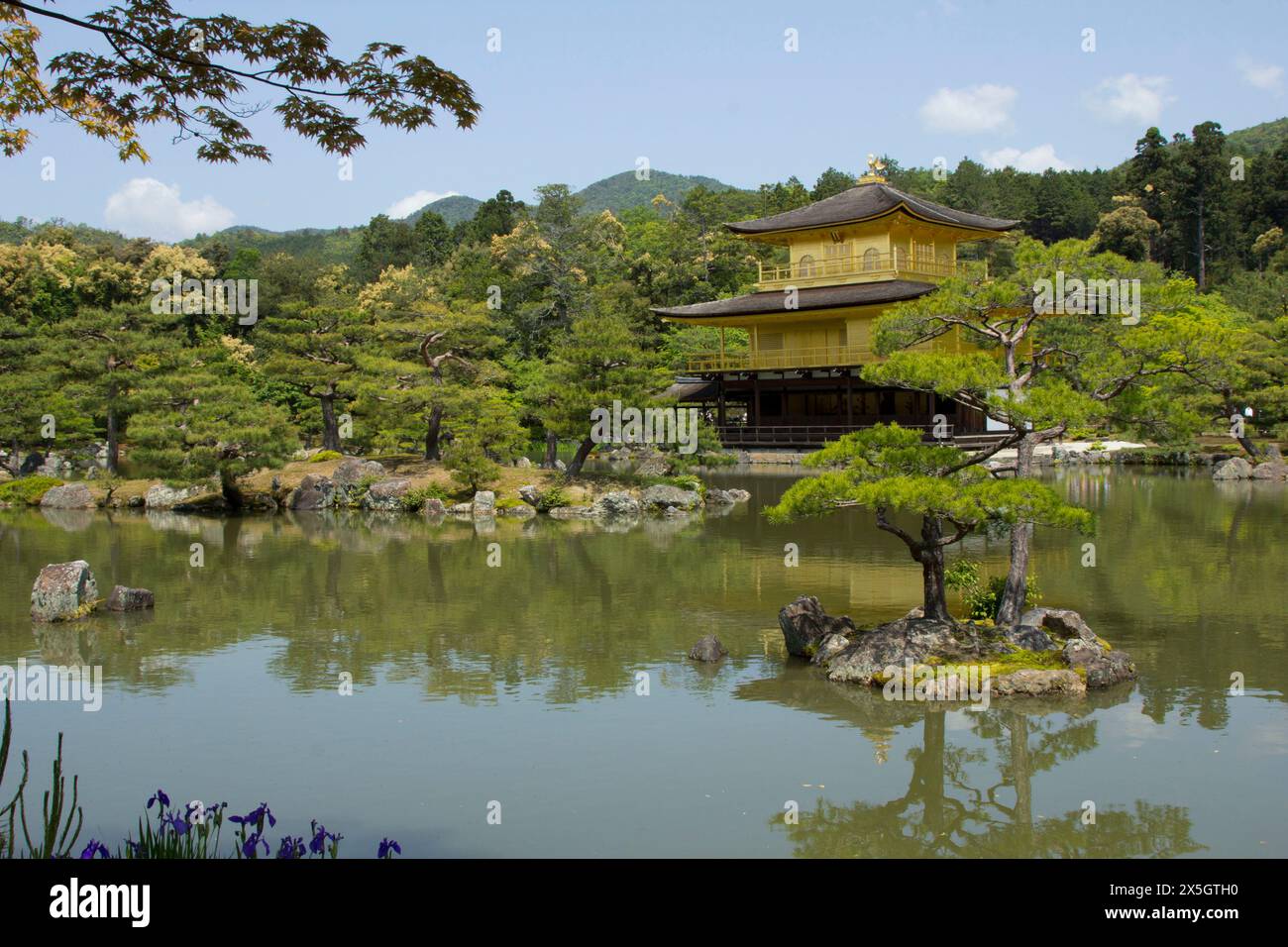 Kinkaku-ji Tempio dorato, Kyoto, Giappone Foto Stock