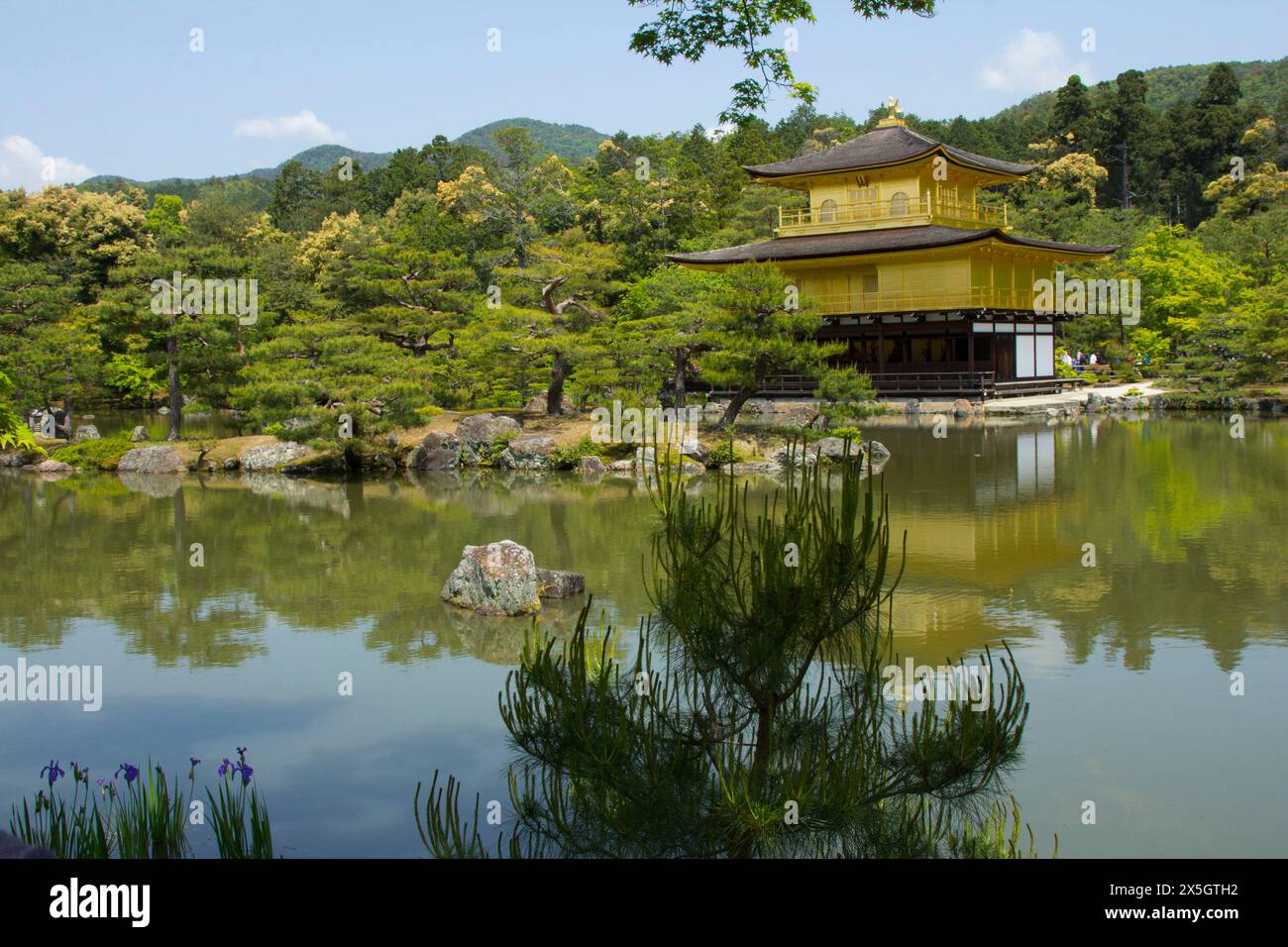 Kinkaku-ji Tempio dorato, Kyoto, Giappone Foto Stock