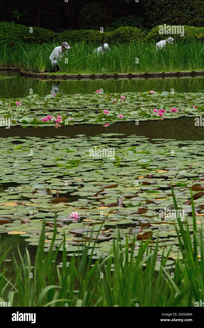 Santuario e giardini Heian-jingu Foto Stock