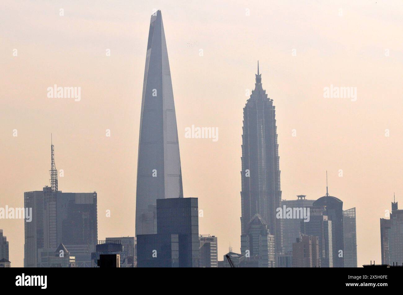 Una vista dello Shanghai World Financial Center e della torre Jinmao a Shanghai, Cina. Foto Stock