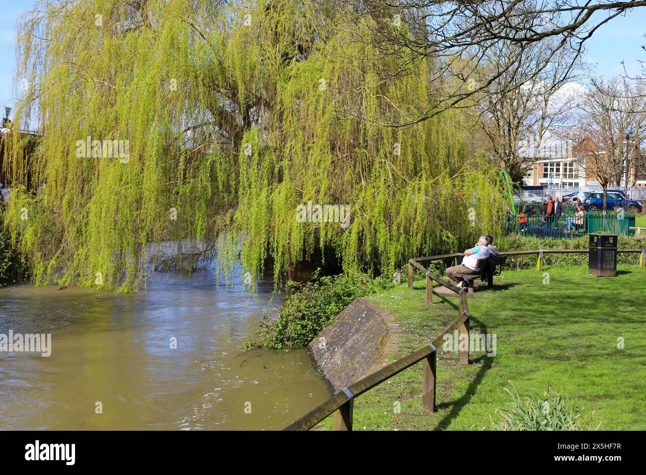 Salisbury, Inghilterra - 29 marzo 2024: Splendido parco nella città di Salisbury e sul fiume Avon Foto Stock