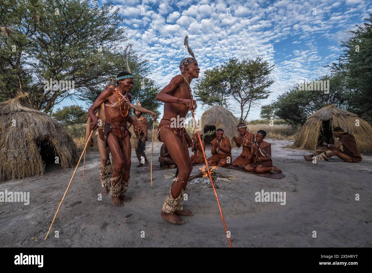 Africa, Botswana, deserto del Kalahari. cacciatore-raccoglitore! I Kung People, parte della tribù San, eseguono una danza trance serale dove lo sciamano esegue rituali di guarigione. (Solo per uso editoriale) Foto Stock