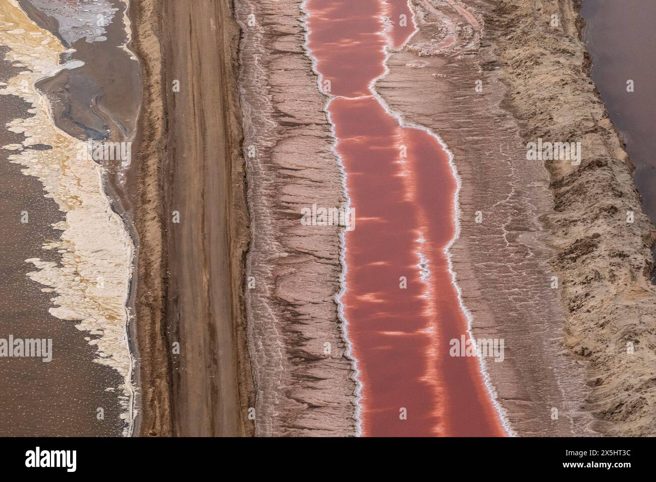 Motivi di colore lungo la costa scheletrica della Namibia Foto Stock