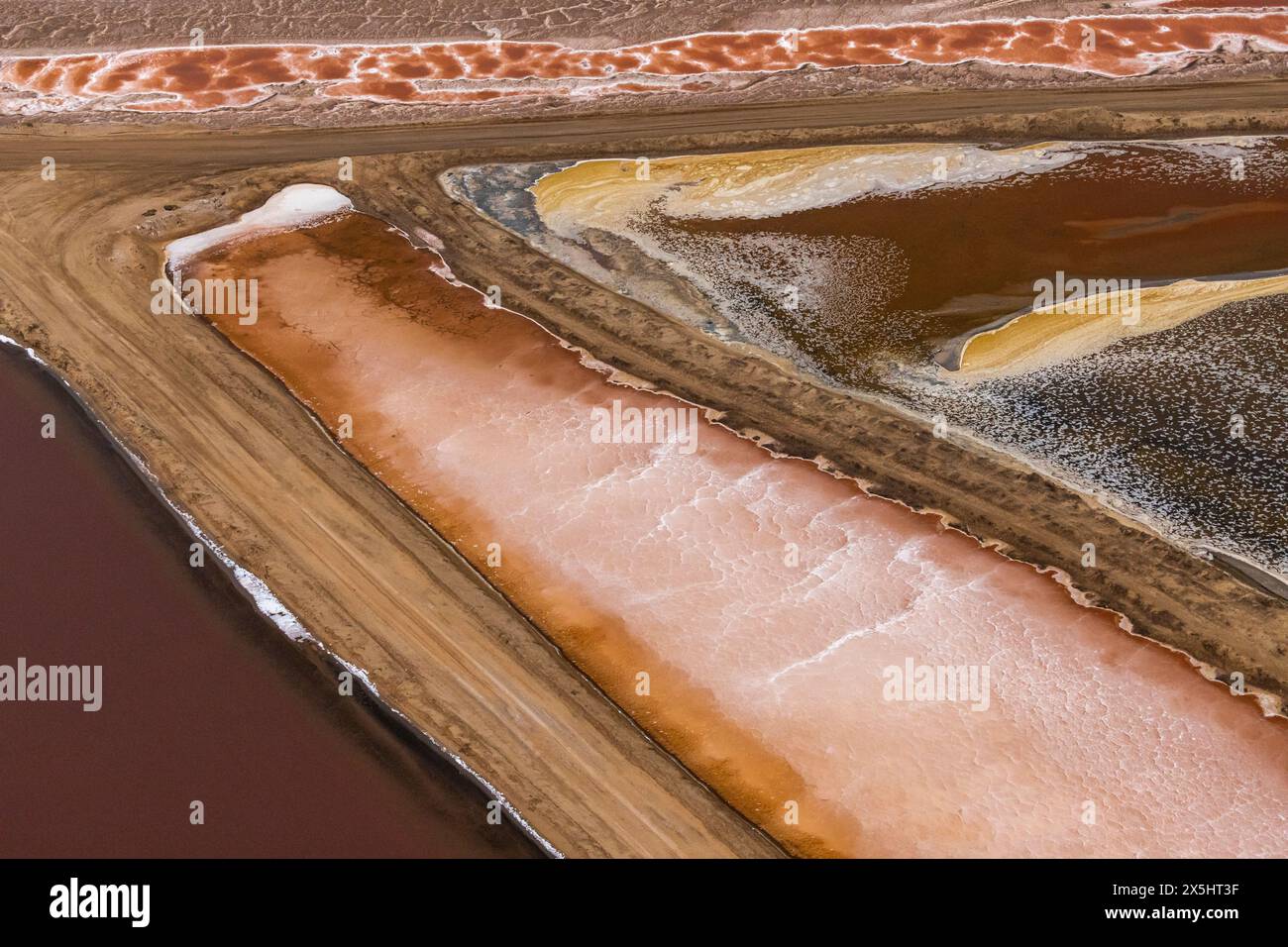 Motivi di colore lungo la costa scheletrica della Namibia Foto Stock