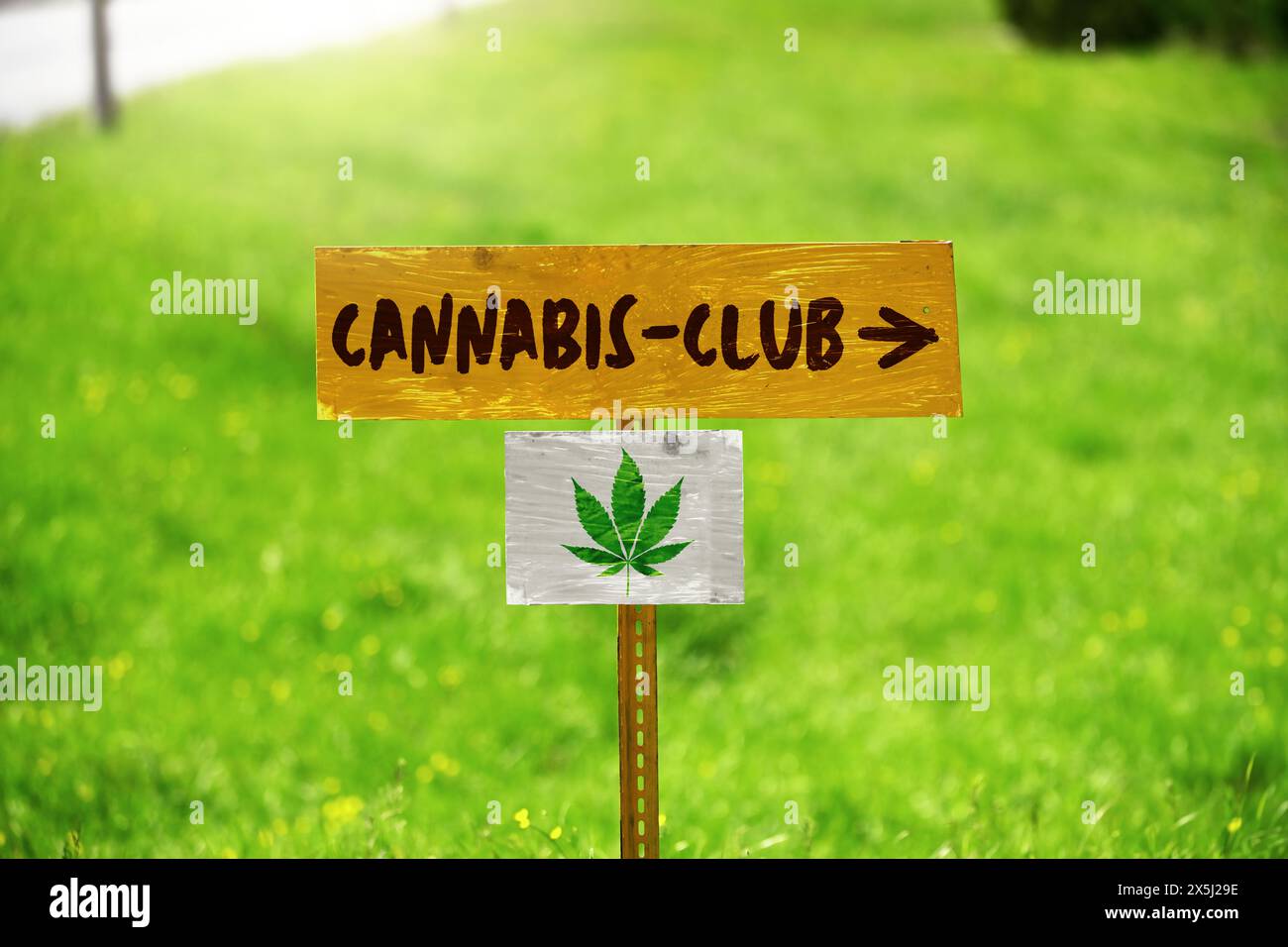 FOTOMONTAGE, Schild mit Hanfblatt und Aufschrift Cannabis-Club Foto Stock