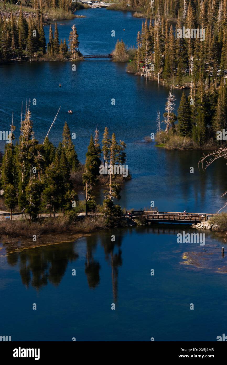 Vista sul lago dei mammut tranquilli con conifere e acqua riflettente. Foto Stock