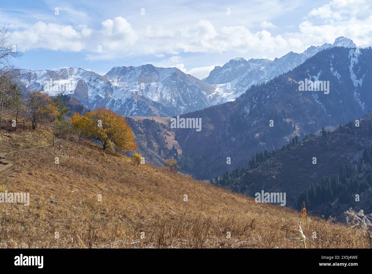 Montagne del Kazakistan ad Almaty Foto Stock