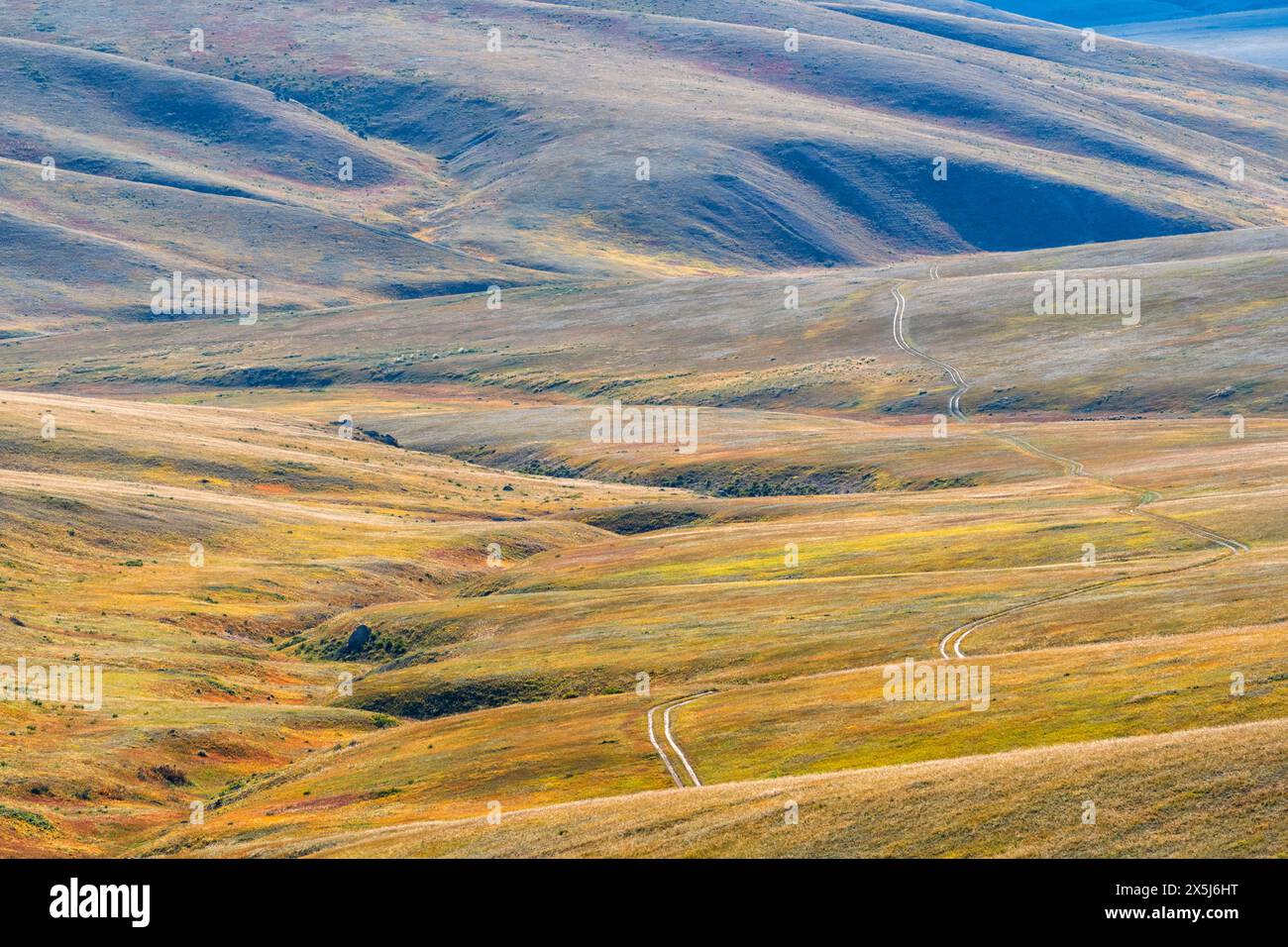 Asia, Mongolia, Hustai National Park, Hustai Mountains. Le ondulate e erbose pianure della steppa con una strada solitaria mostrano i diversi colori delle erbe. Foto Stock