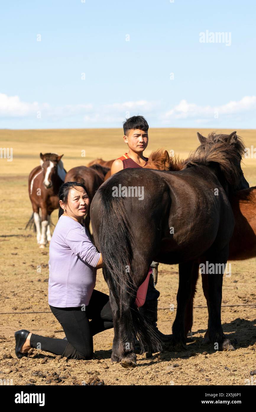 Asia, Mongolia. Una donna munge una cavalla mentre suo figlio tiene vicino la colt, così la cavalla abbassa il latte. (Solo per uso editoriale) Foto Stock
