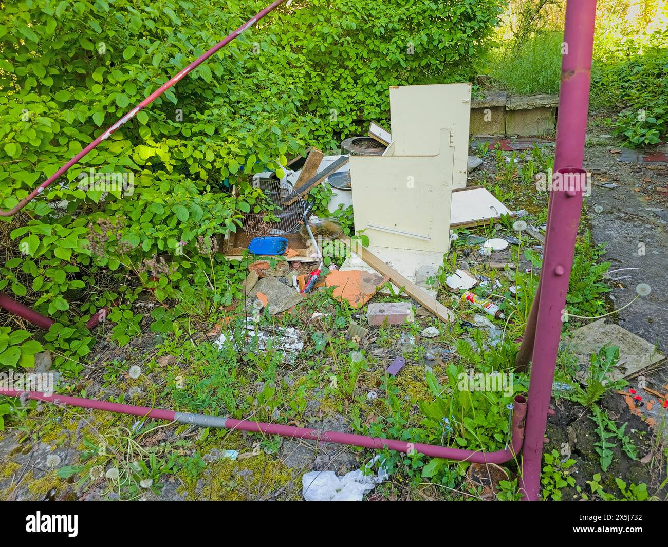 Il giardino trascurato viene utilizzato per lo smaltimento illegale dei rifiuti Foto Stock