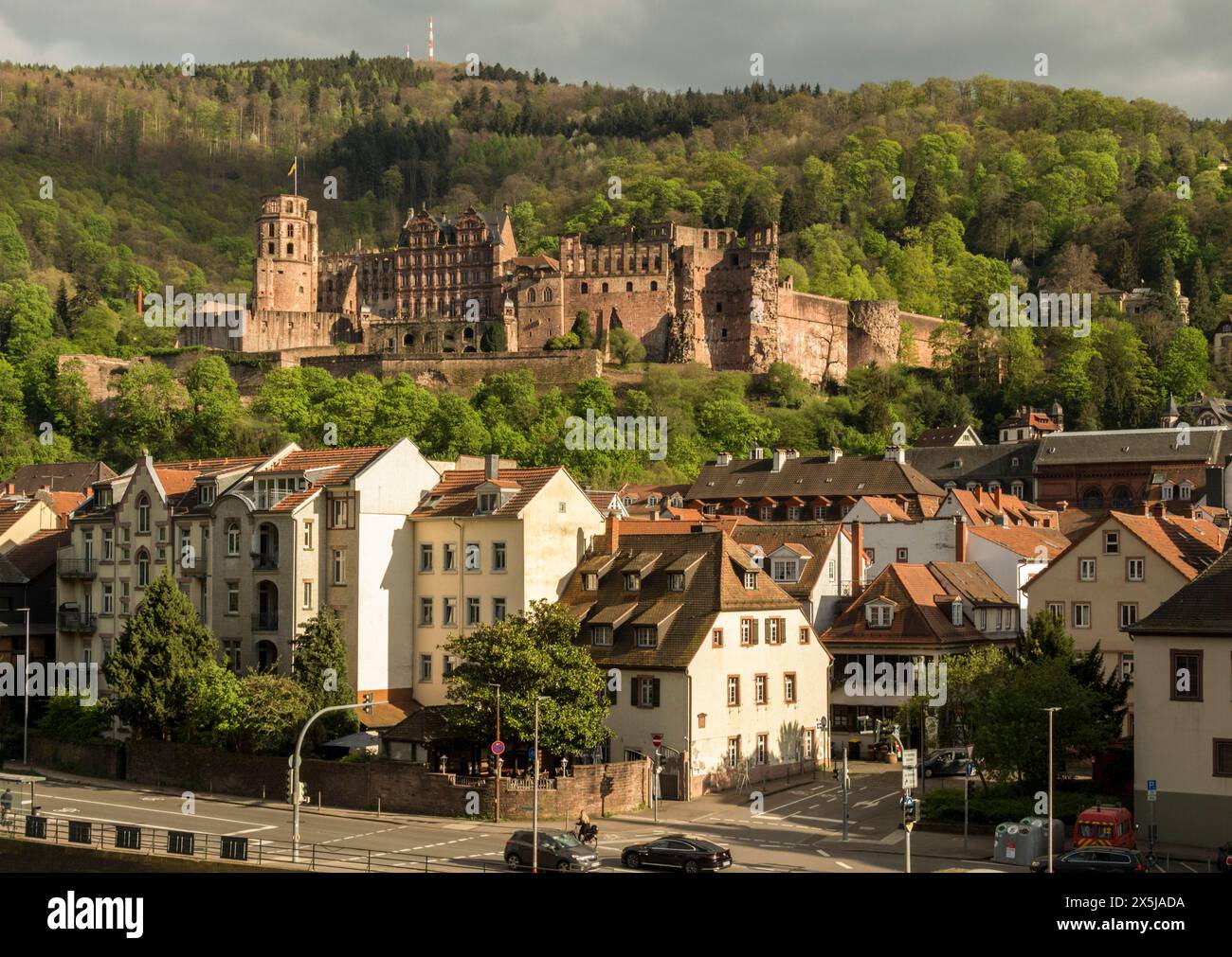 Vista di Heidelberg dal vecchio ponte, sull'ampio fiume, con il castello di legno circondato sulla città Foto Stock