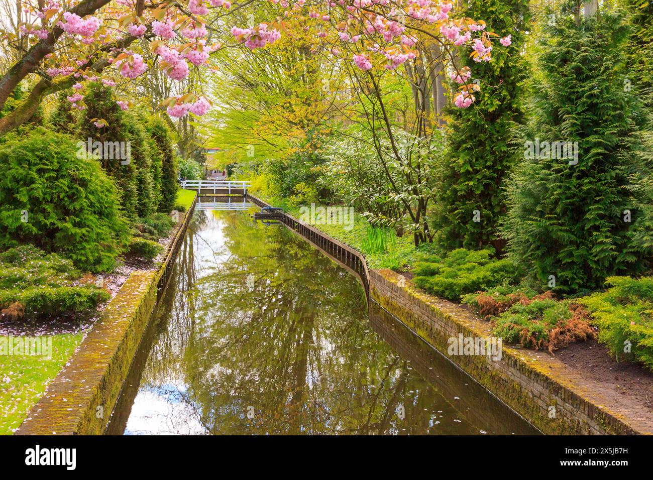Paesi Bassi, Flevoland. Canale nell'area giardino. Foto Stock