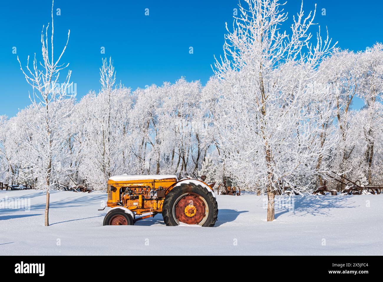 Canada, Manitoba. Trattore d'epoca e alberi ricoperti di ghiaccio. Foto Stock