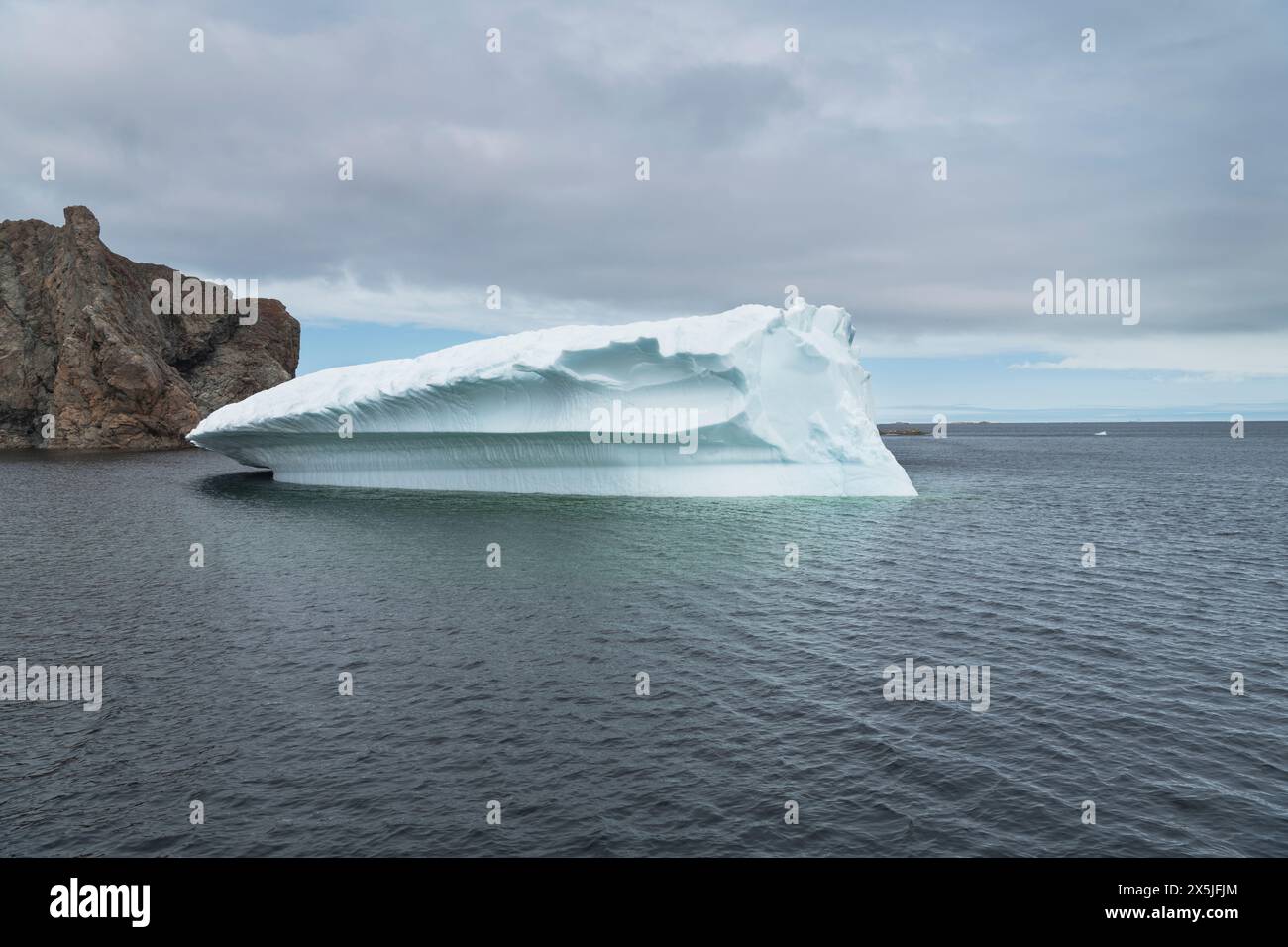 Iceberg a Spiller's Cove, Terranova e Labrador, Canada. Foto Stock