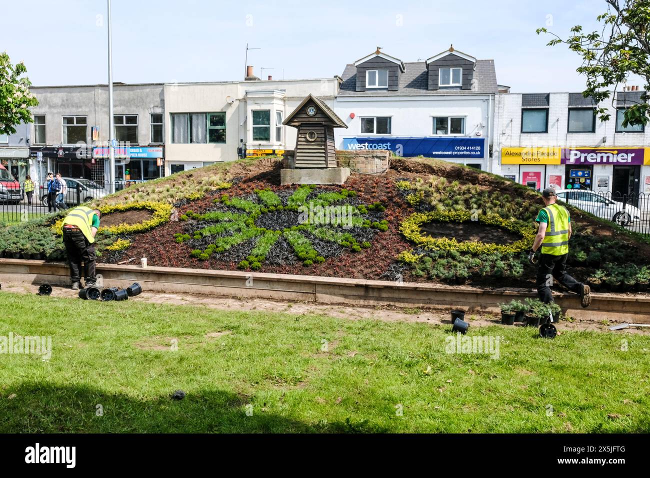 Weston-super-Mare, Regno Unito. 10 maggio 2024. Il famoso punto di riferimento sul mare è tornato alla gloria precedente. Dopo essere stato cementato a febbraio perché era troppo costoso mantenere il famoso orologio a fiori è in fase di restauro. Gli appaltatori del consiglio stanno piantando arbusti a bassa manutenzione. Crediti: JMF News/Alamy Live News Foto Stock