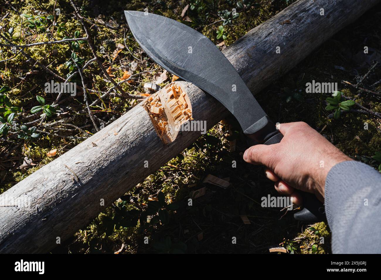 Un grande coltello kukri tattico nero per tagliare la legna in mano a un uomo nella foresta. Foto Stock