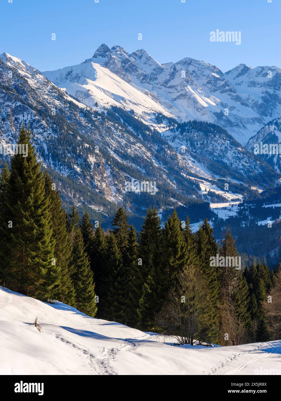 Vista dall'Hochleite verso il Monte Trettachspitze e Mt. Madelegabel. Le Alpi Allgau vicino a Oberstdorf durante l'inverno in Baviera, Germania. Foto Stock
