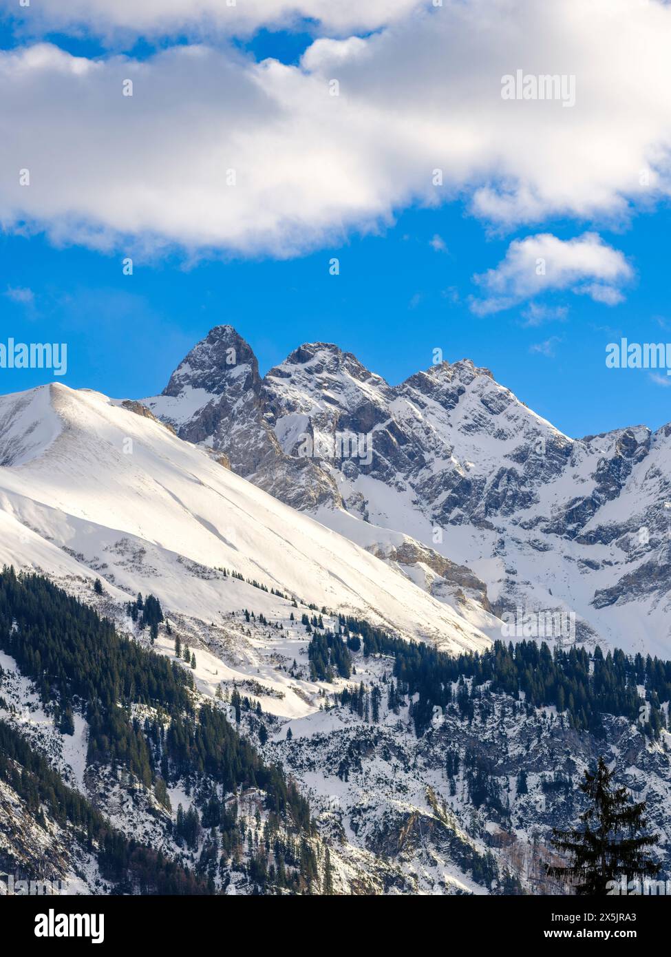 Vista dall'Hochleite verso il Monte Trettachspitze e Mt. Madelegabel. Le Alpi Allgau vicino a Oberstdorf durante l'inverno in Baviera, Germania. Foto Stock