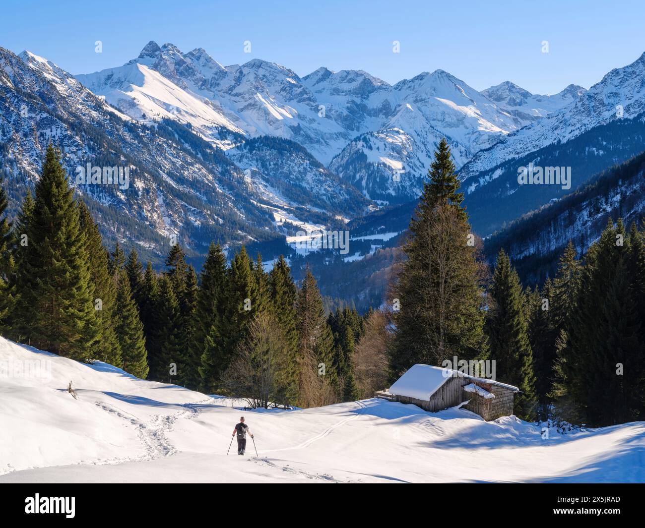 Vista dall'Hochleite verso il Monte Trettachspitze e Mt. Madelegabel. Le Alpi Allgau vicino a Oberstdorf durante l'inverno in Baviera, Germania. Foto Stock