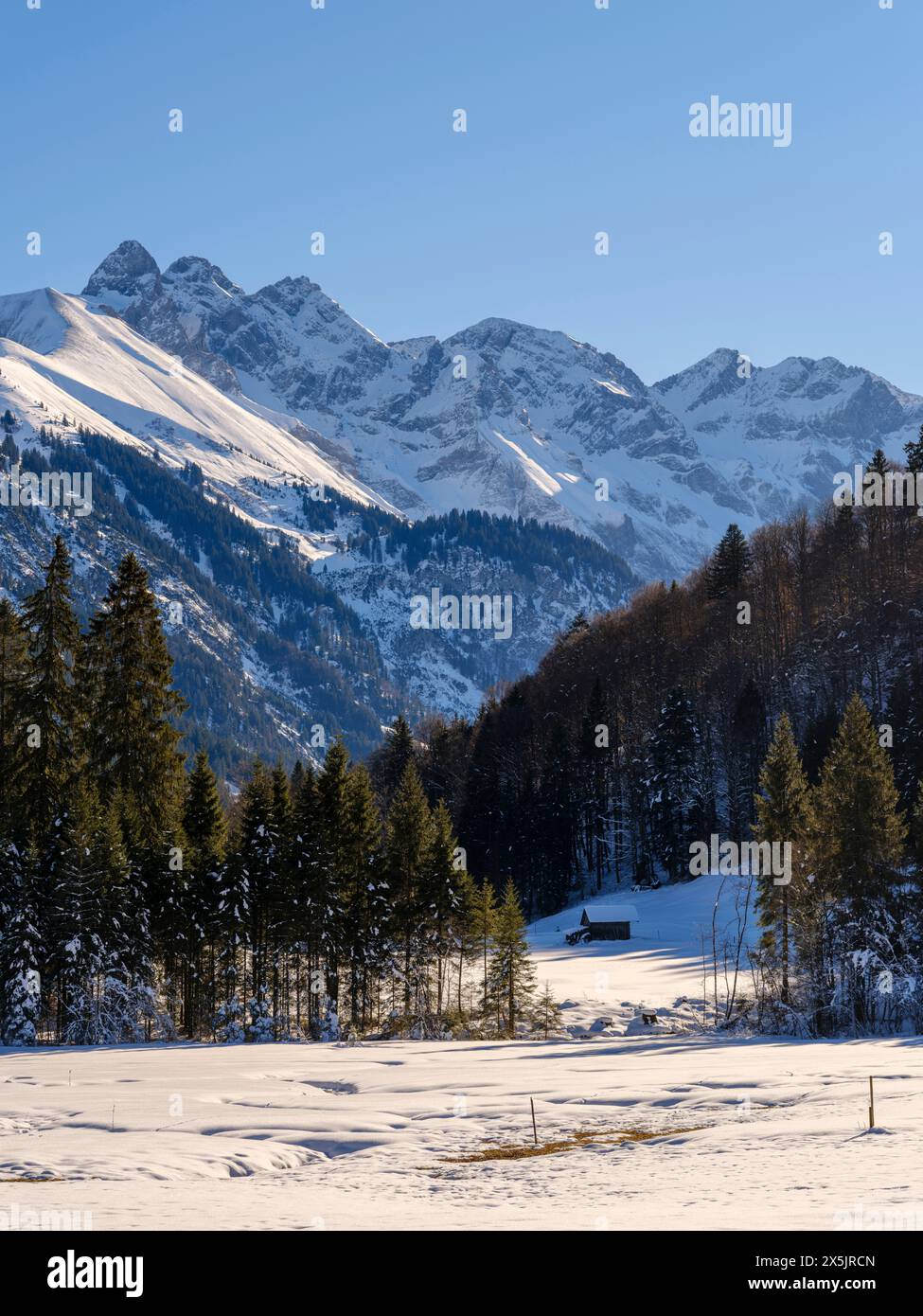 Vista da Ringang verso il Monte Trettachspitze, Mt. Madelegabel e Mt. Hochfrottspitze. Le Alpi Allgau vicino a Oberstdorf durante l'inverno in Baviera, Germania. Foto Stock