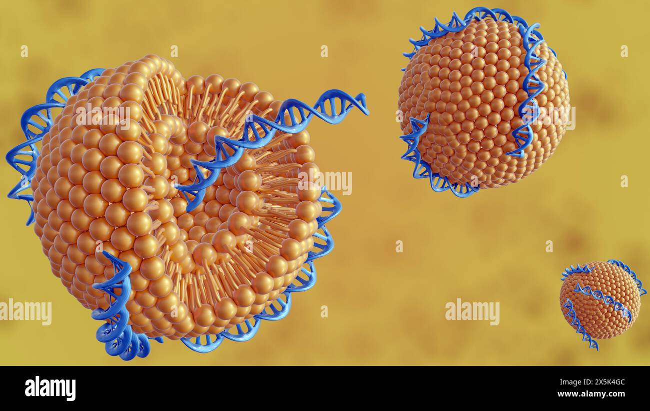 Rendering 3d dei liposomi coniugati con eliche di DNA come complesso DNA-liposomico Foto Stock