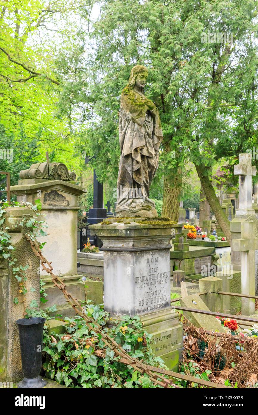 Polonia, Varsavia, Wola. Cimitero di Powazki, storico oltre 1 milione di sepolti. Iniziato nel 1790. Sito di famose lapidi storiche polacche. Foto Stock