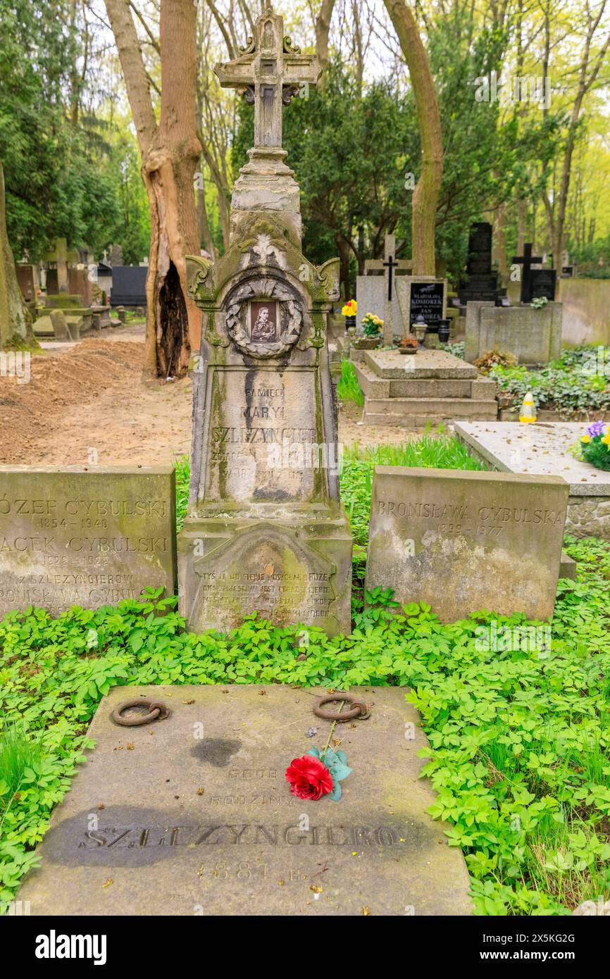 Polonia, Varsavia, Wola. Cimitero di Powazki, storico oltre 1 milione di sepolti. Iniziato nel 1790. Sito di famose lapidi storiche polacche. (Solo per uso editoriale) Foto Stock
