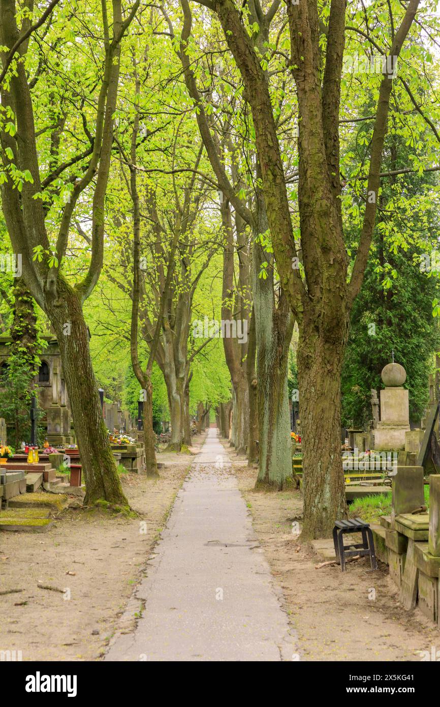 Polonia, Varsavia, Wola. Cimitero di Powazki, storico oltre 1 milione di sepolti. Iniziato nel 1790. Sito di famose lapidi storiche polacche. Foto Stock
