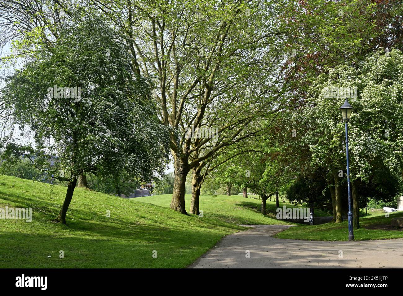 Parco del Castello di Bristol erba e sentiero con alberi Foto Stock