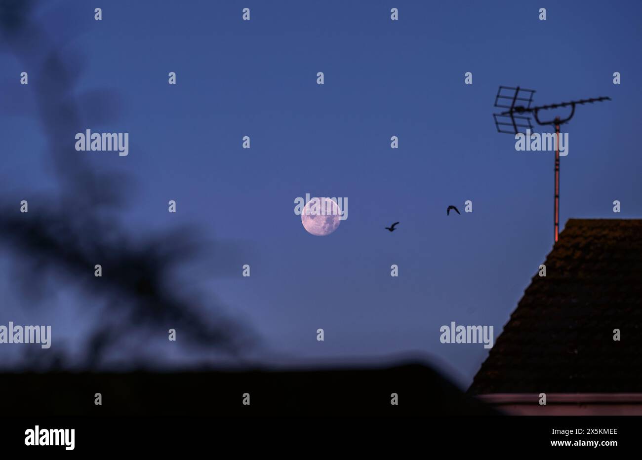 Una vew con la luna piena nel cielo limpido sopra il quartiere al crepuscolo Foto Stock
