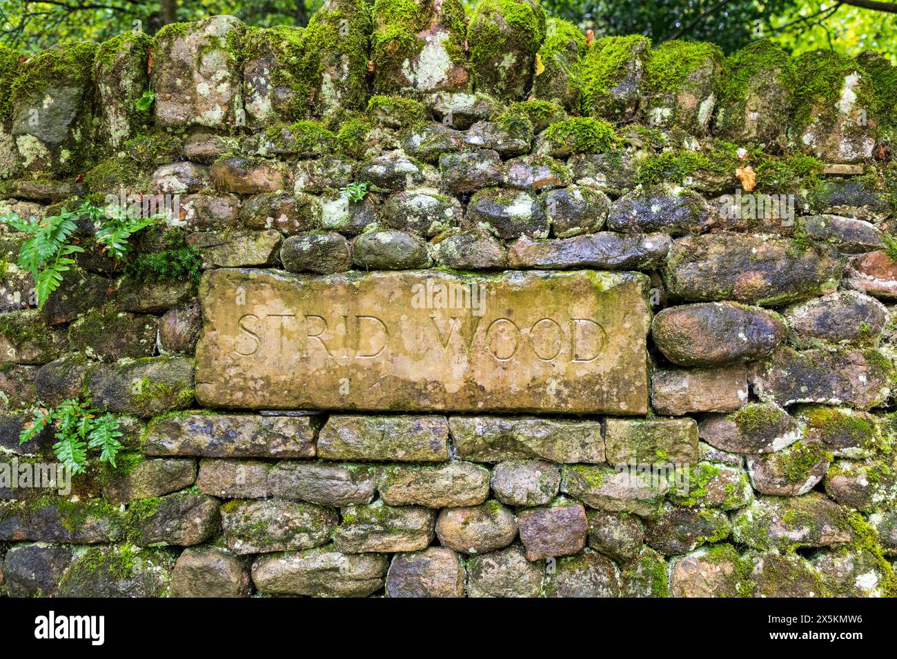 England, Yorkshire, Walk offre uno scorcio del paesaggio locale. Segno Strid Wood nel muro di pietra. Foto Stock