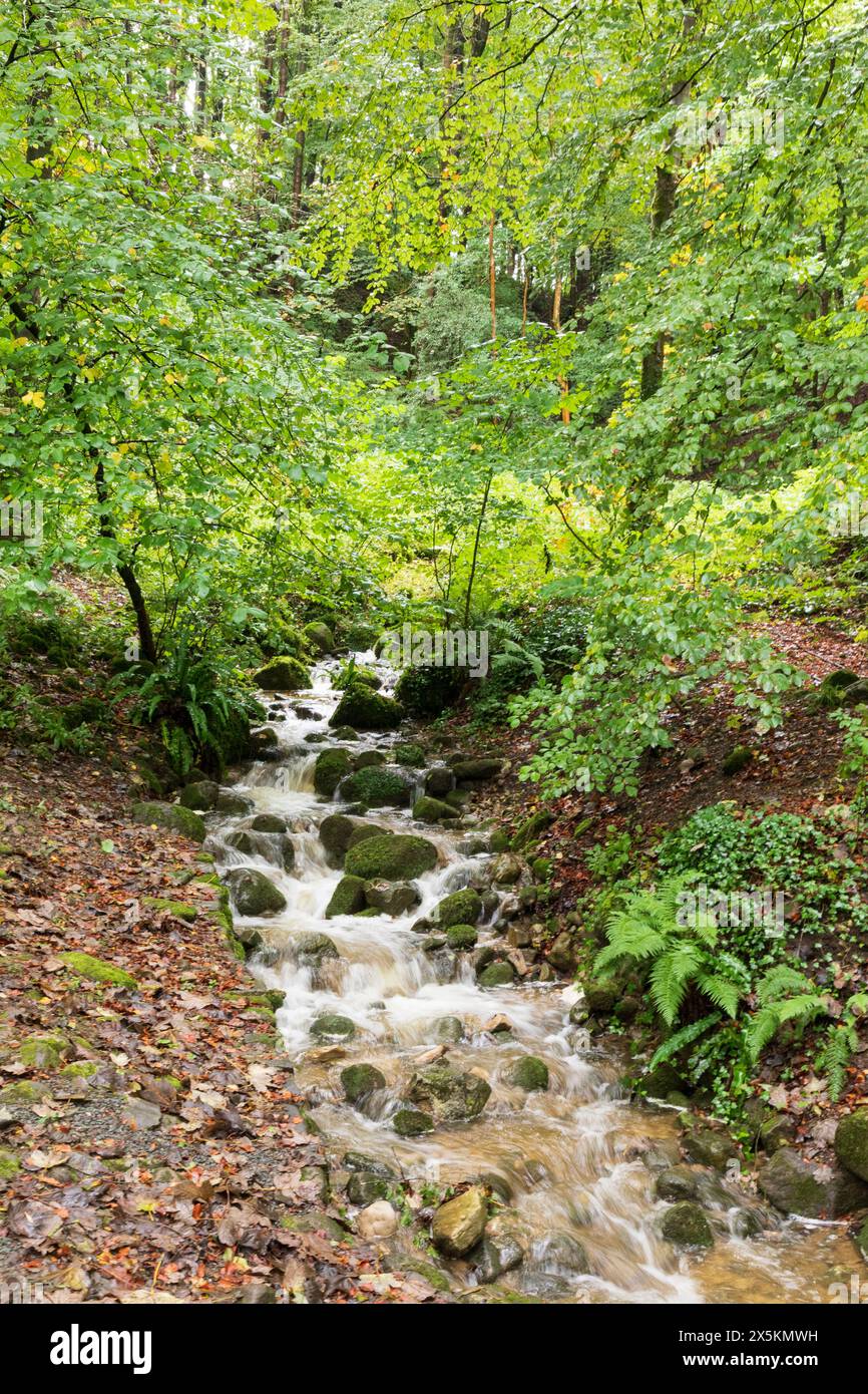 Inghilterra, Yorkshire, Skipton. Le passeggiate offrono uno scorcio del paesaggio locale. Foto Stock