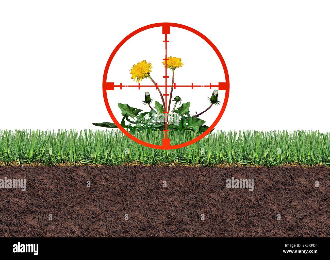 Mirando alle erbacce e al controllo organico delle piante infestanti come un fiore di dente di leone e piante indesiderate, con un simbolo per i parassiti su un campo di erba verde come simbolo o. Foto Stock
