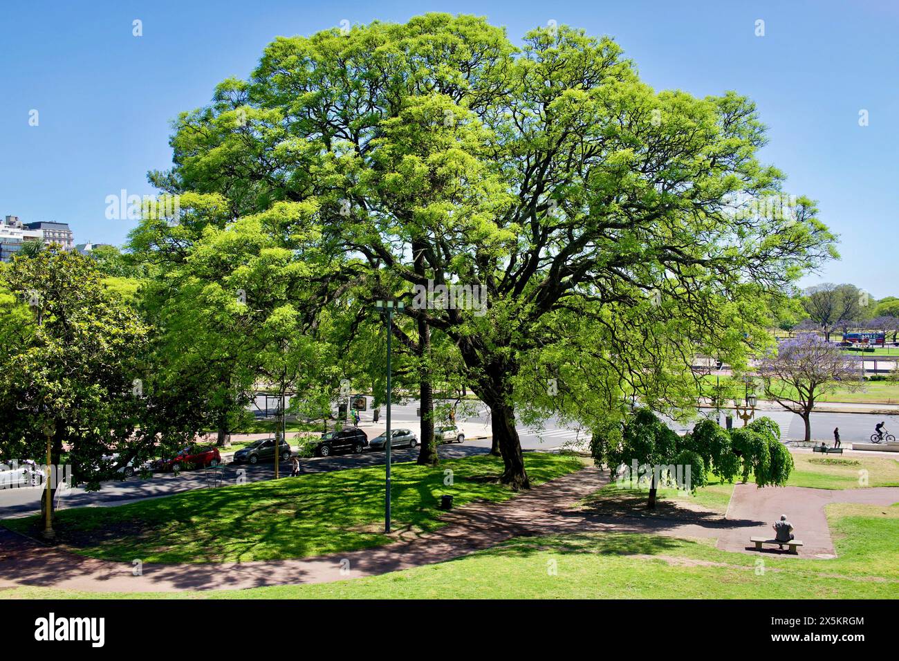 Argentina, Buenos Aires. Ruben Dario Plaza lungo Avenida del Libertador Foto Stock