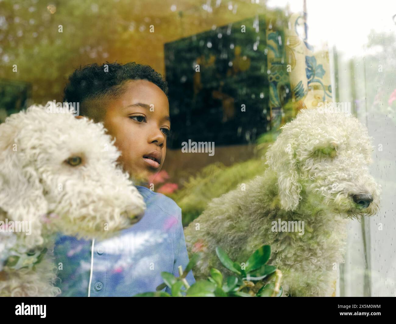 Ragazzi e cani che guardano dalla finestra Foto Stock