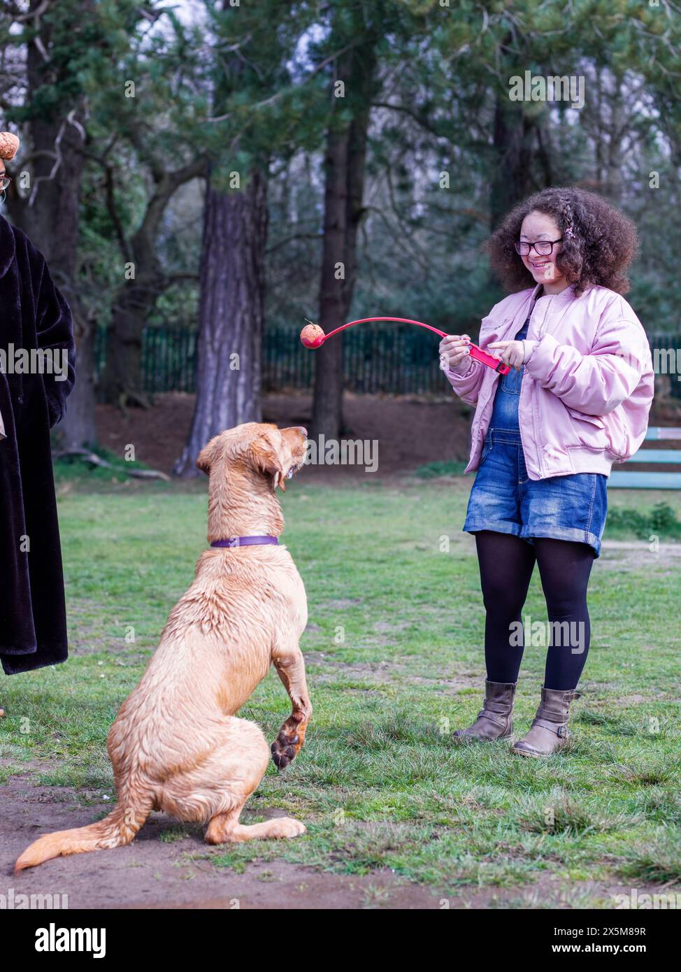 Ragazza che gioca con il cane nel parco Foto Stock