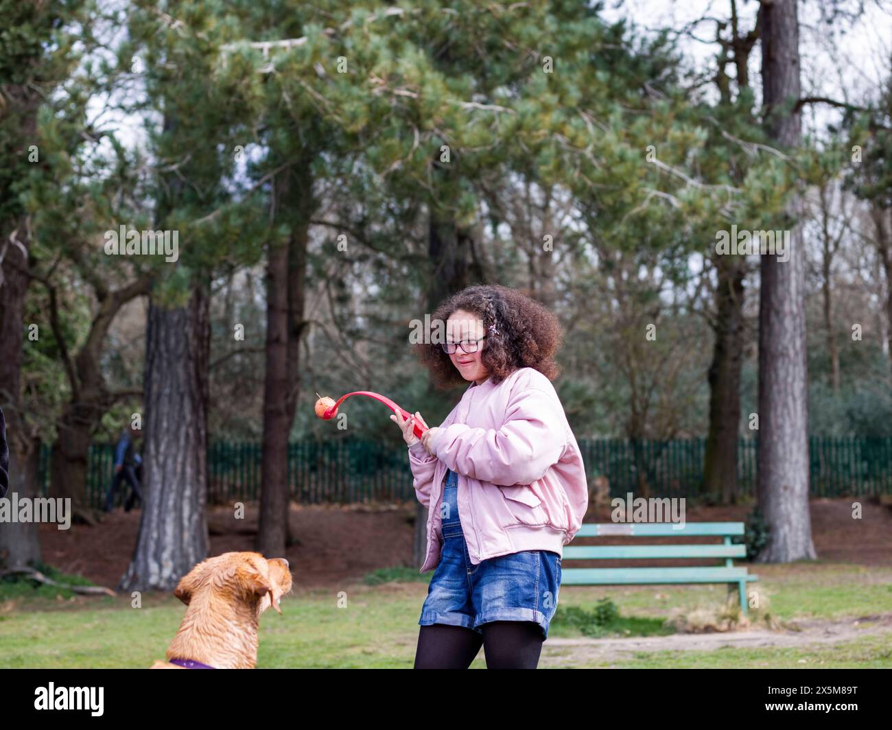 Ragazza che gioca con il cane nel parco Foto Stock