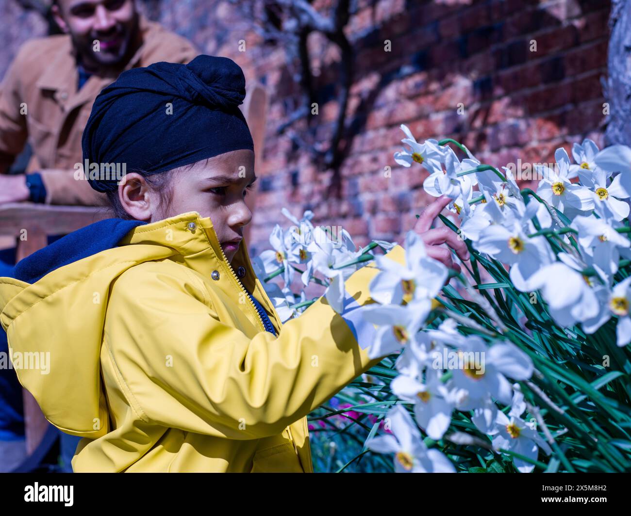 Ragazzo che guarda i fiori in giardino Foto Stock