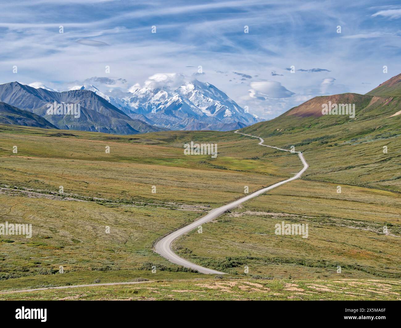 USA, Alaska. Strada che attraversa il Denali National Park con il monte McKinley sullo sfondo in estate. Foto Stock