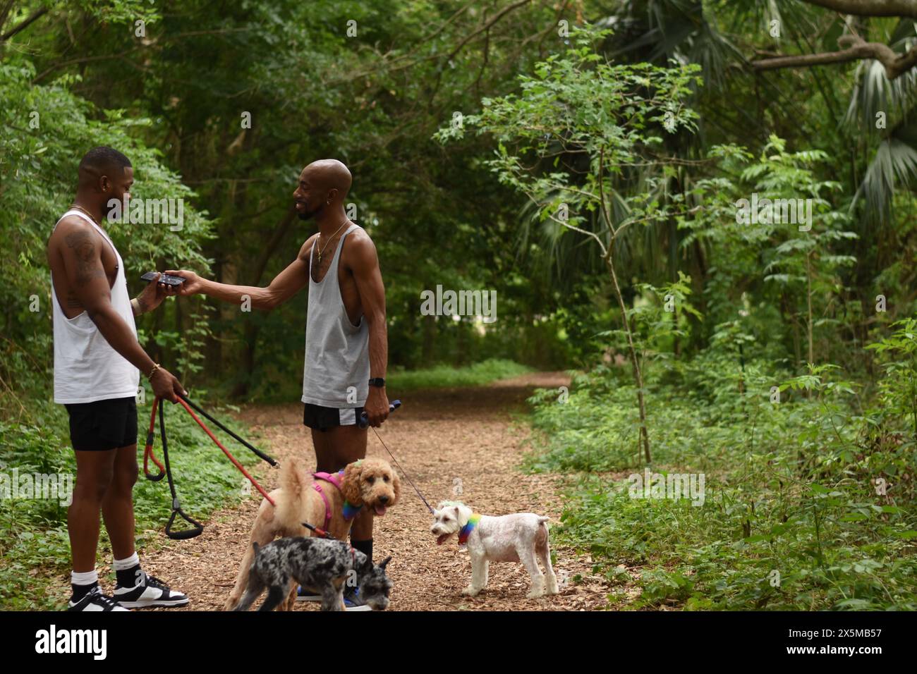 USA, Louisiana, coppia gay con cani nel parco Foto Stock