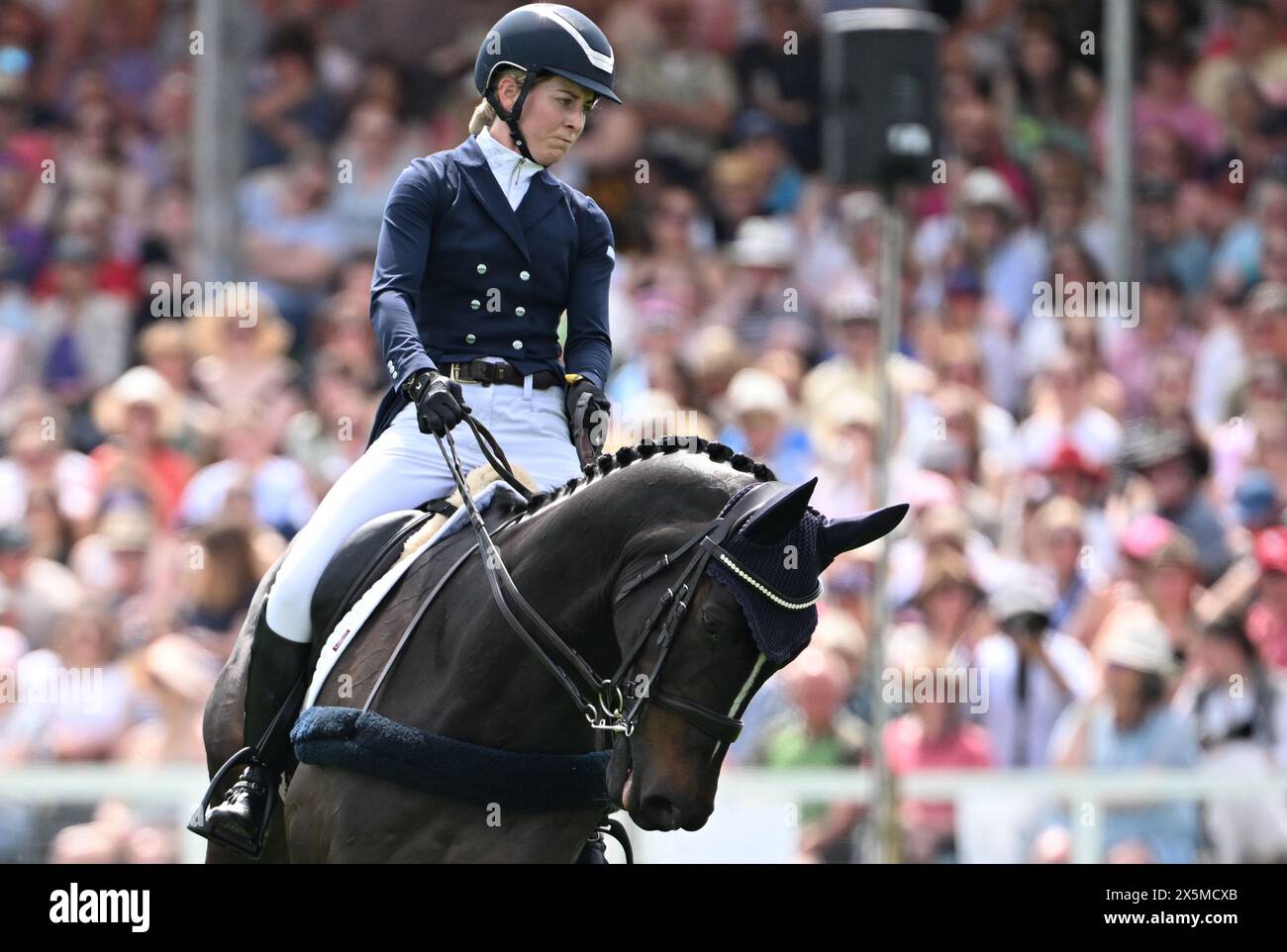 Badminton Estate, Gloucestershire, Regno Unito. 10 maggio 2024. 2024 MARS Badminton Horse Trials giorno 3; Helen Bates (GBR) in sella a CARPEDIEM durante il Dressage il giorno 3 credito: Action Plus Sports/Alamy Live News Foto Stock