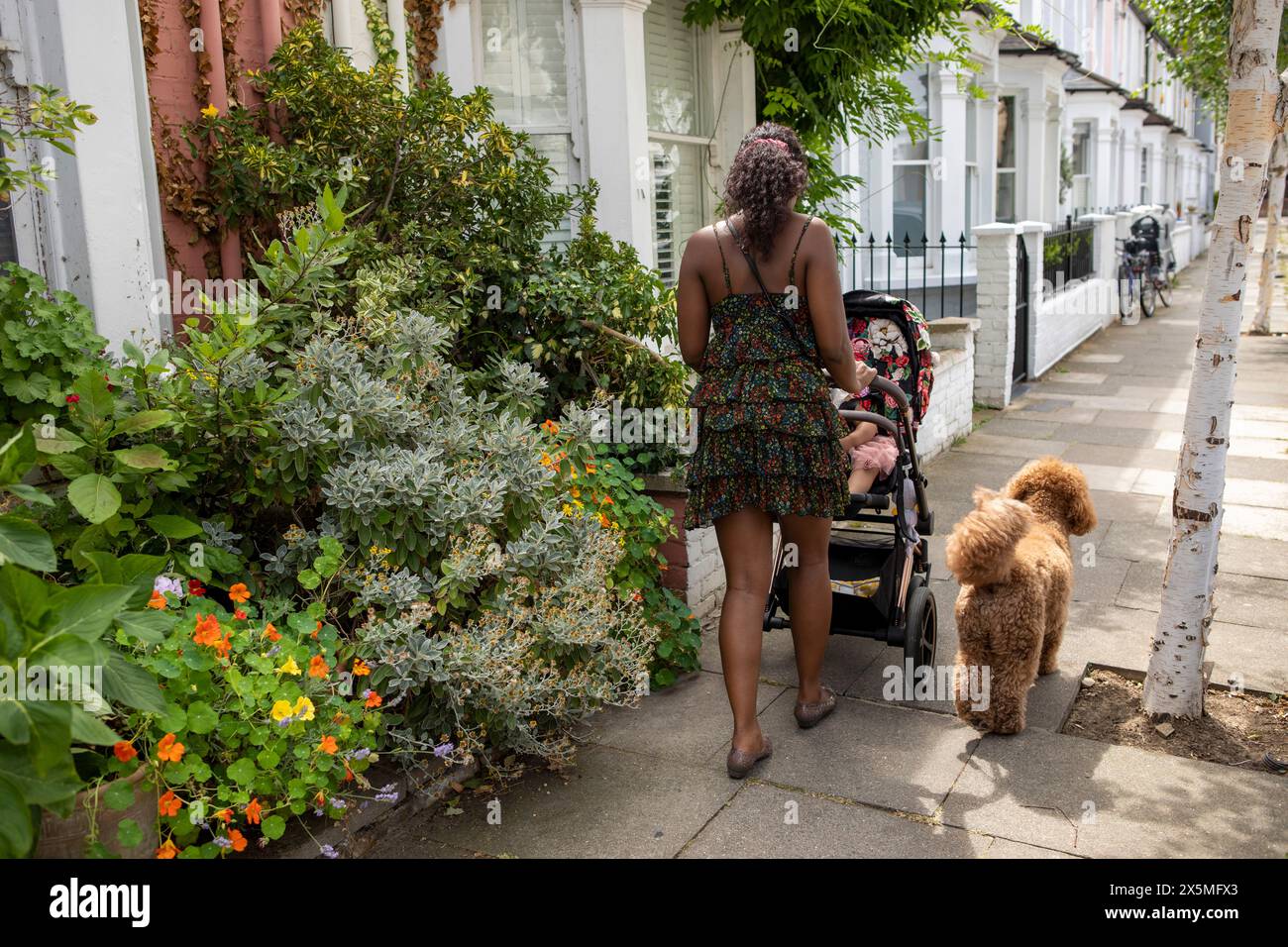 Madre che va a camminare con la figlia (12-17 mesi) in passeggino e cane Foto Stock