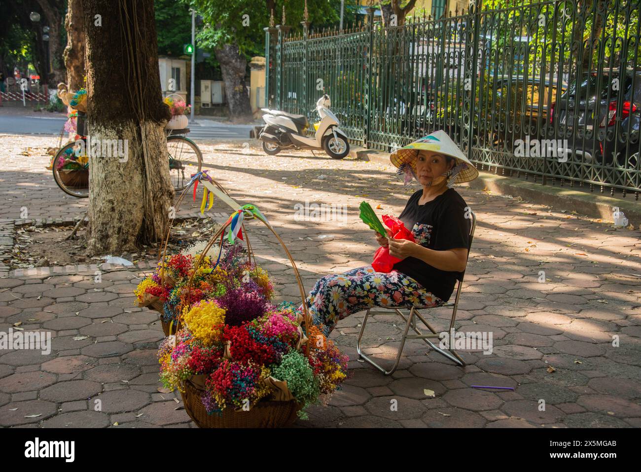 Venditore di fiori in Phan Dinh Phung Street, Hanoi, Vietnam Foto Stock