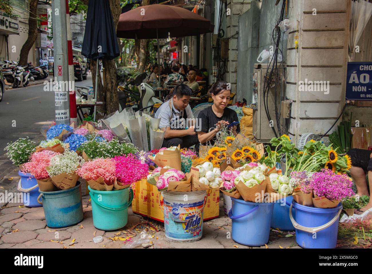 Venditore di fiori in Phan Dinh Phung Street, Hanoi, Vietnam Foto Stock