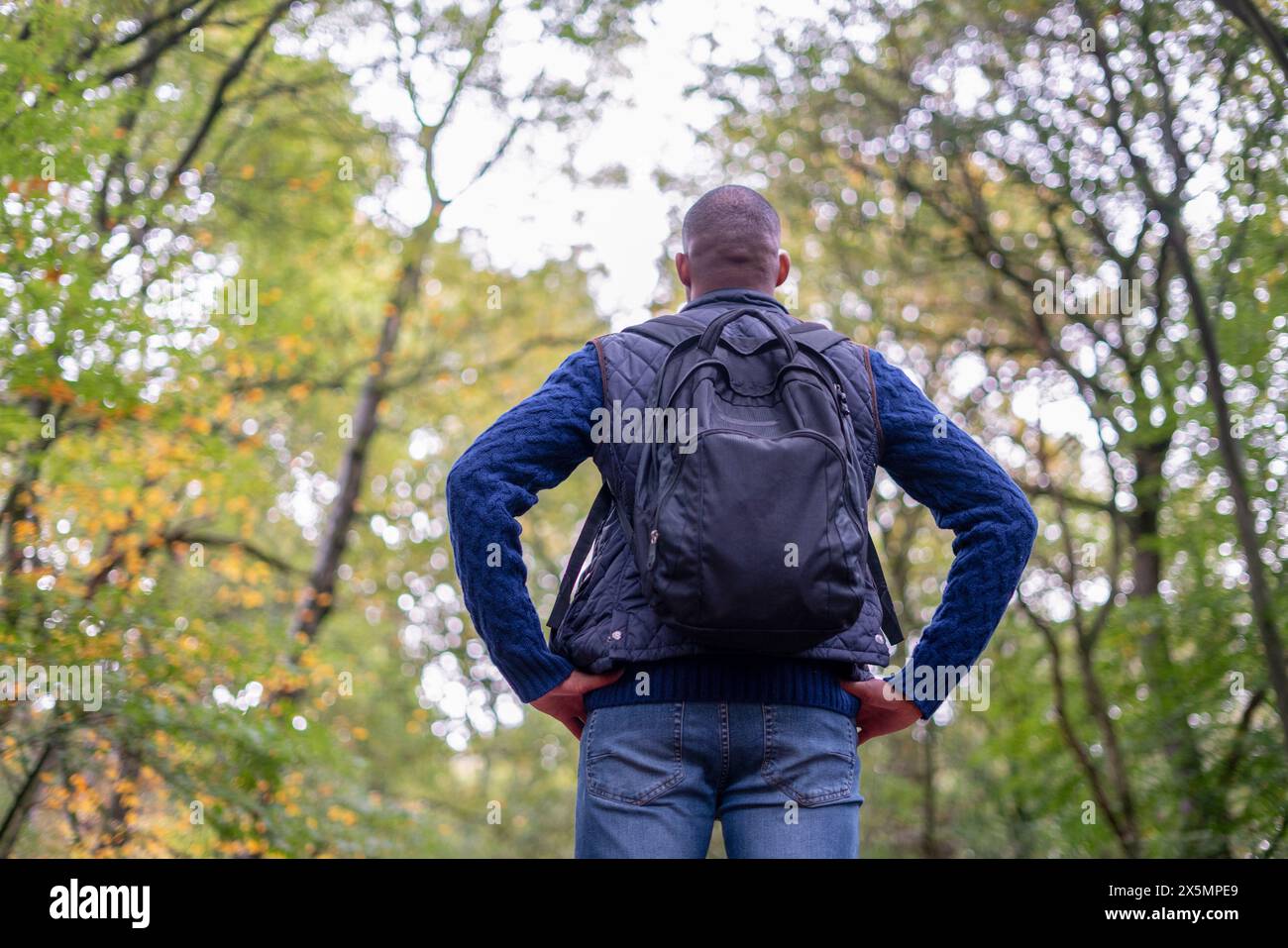 Vista posteriore dell'uomo con zaino nella foresta in autunno Foto Stock